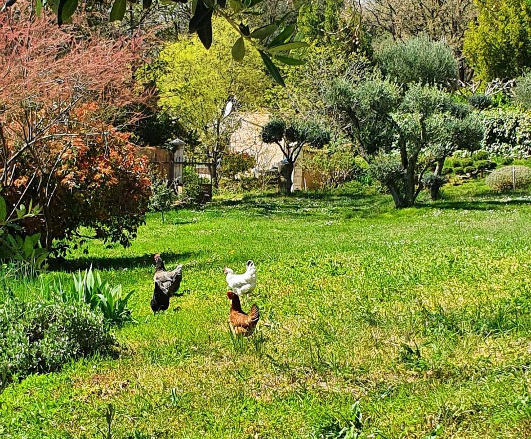 Monteze Paradis Saint-Christol-lès-Alès Exteriér fotografie
